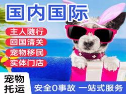 观音空运国际宠物托运 【国